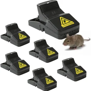 mousetrap